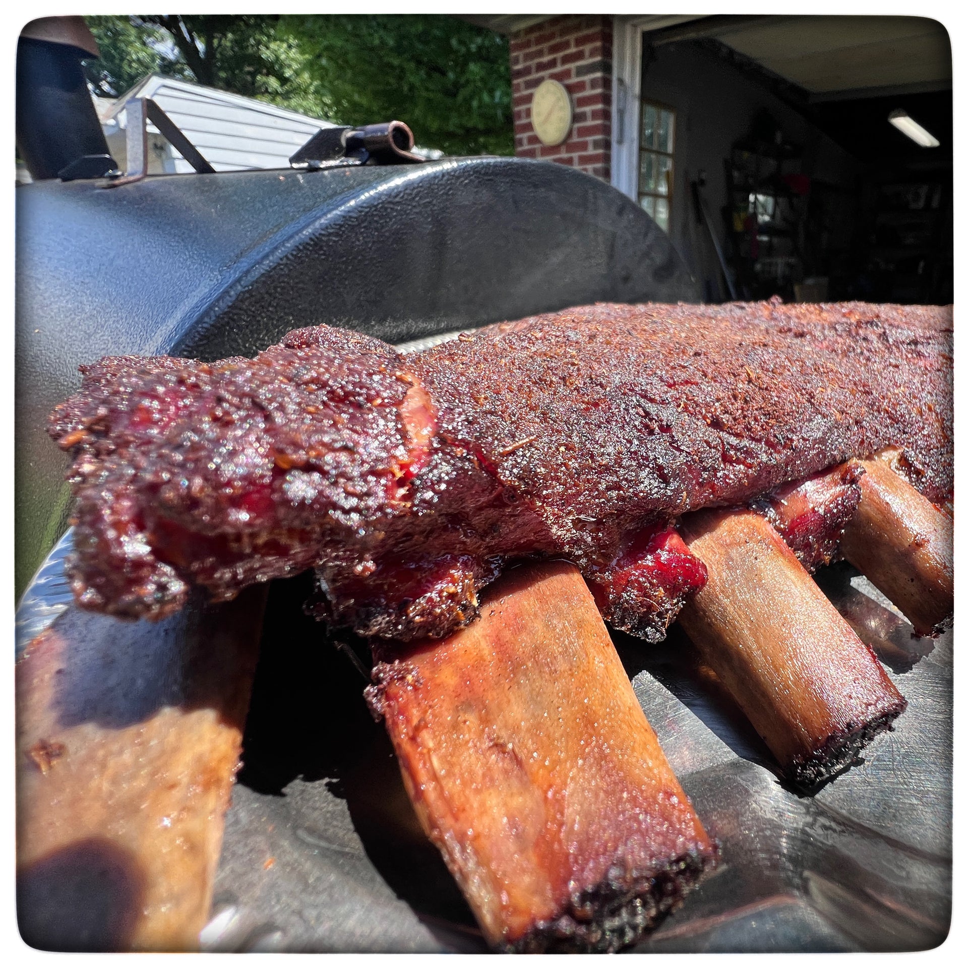 Understanding the Different Cuts of Pork Ribs