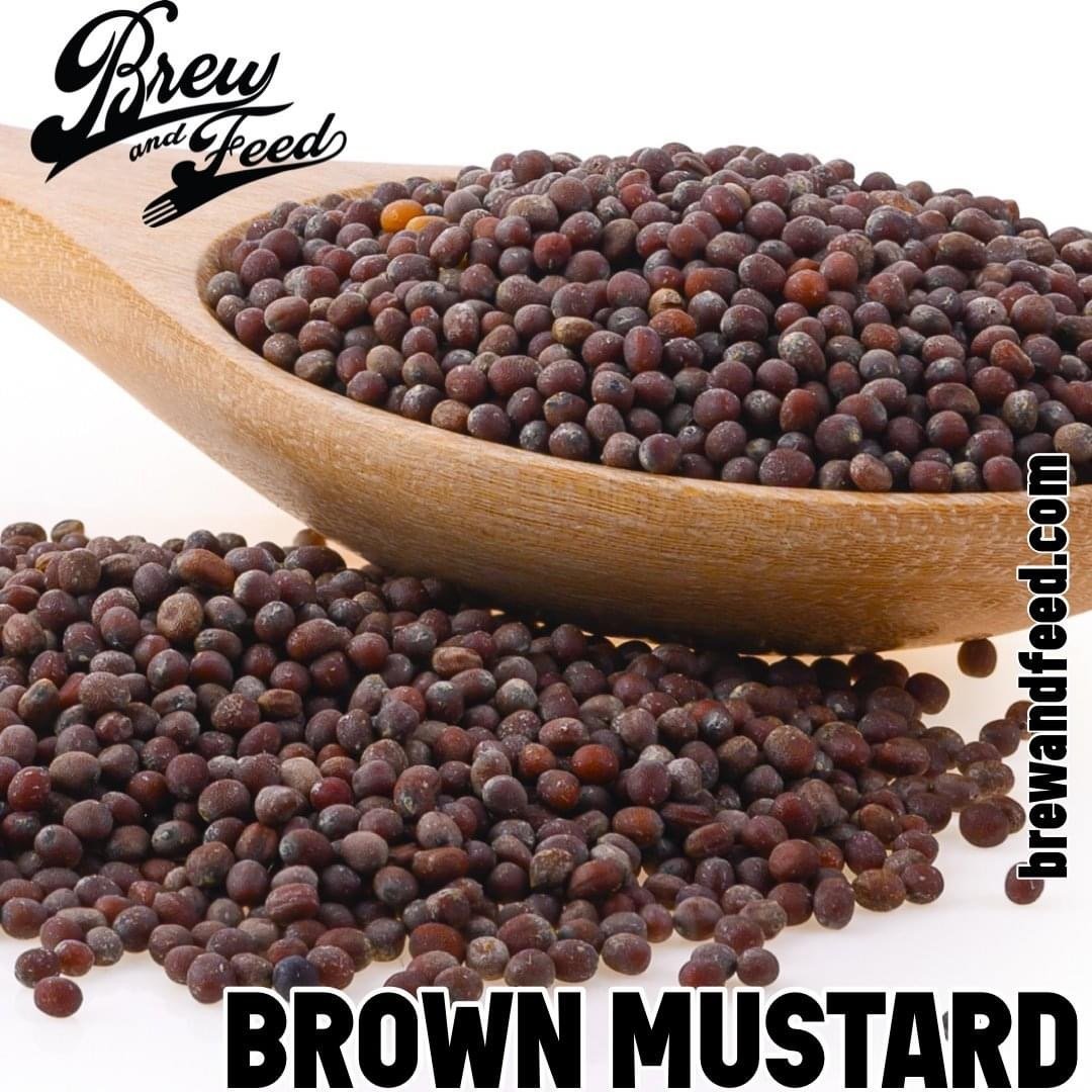 Food - Brown Mustard