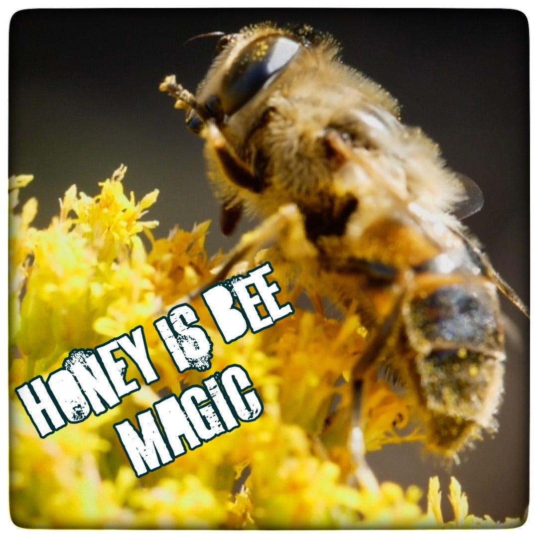 Why You Should Keep Honey in Your Kitchen